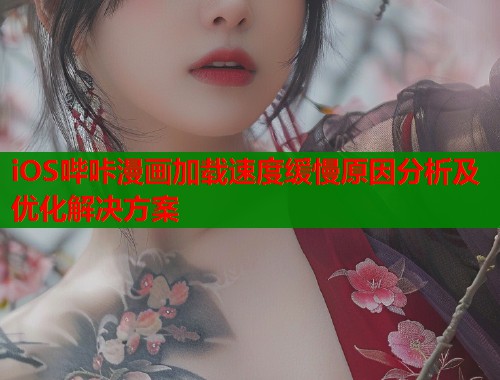 iOS哔咔漫画加载速度缓慢原因分析及优化解决方案  第1张
