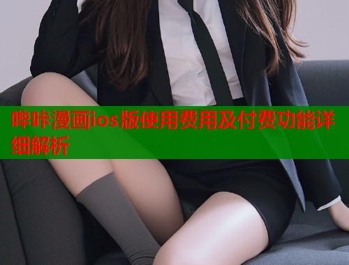 哔咔漫画ios版使用费用及付费功能详细解析  第2张