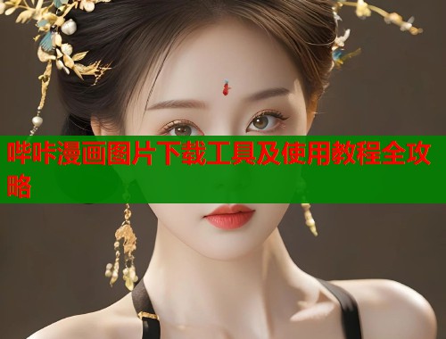哔咔漫画图片下载工具及使用教程全攻略  第1张