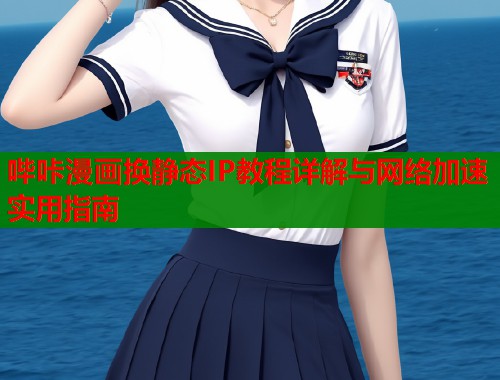 哔咔漫画换静态IP教程详解与网络加速实用指南  第1张